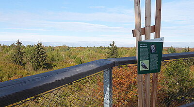 Aussicht über Baumkronen mit Hinweisschild an Holzlatten