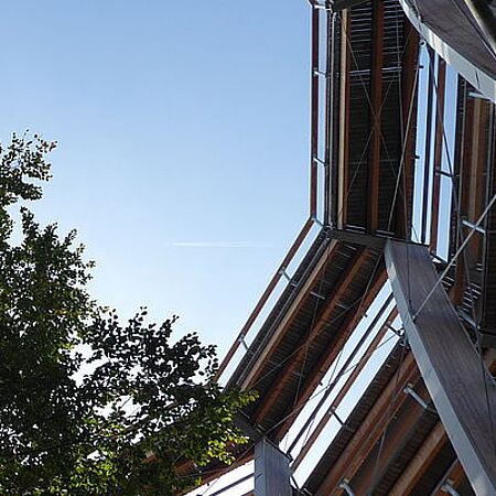 Baumkrone in Baumpfadaufstieg