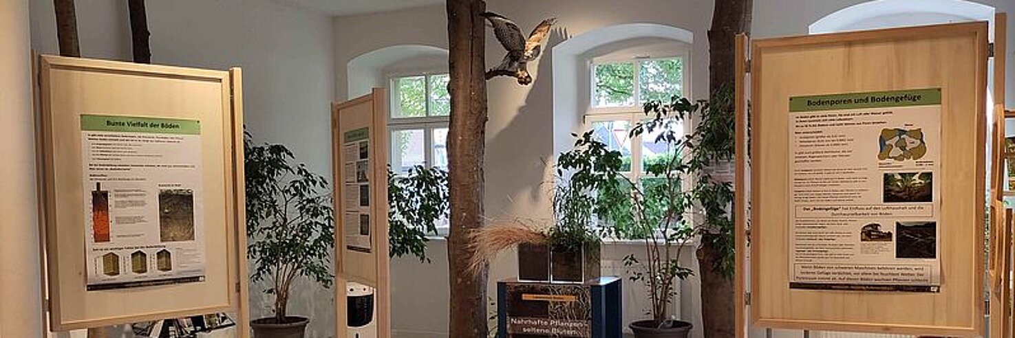 Ausstellung zum Thema Buchenwälder mit Plakattafeln aus Holz